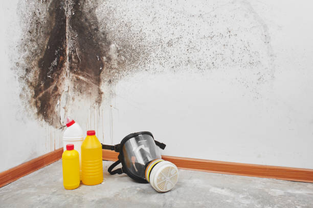Best Mold Testing  in Middlefield, OH