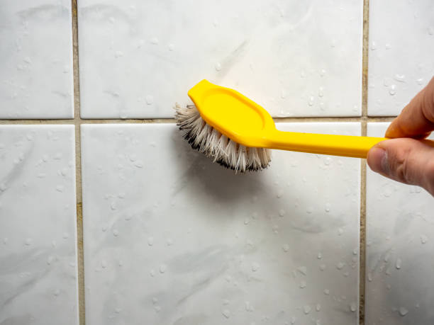 Office Mold Removal Services in Middlefield, OH